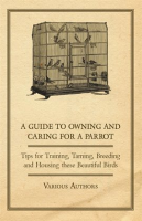 A_Guide_to_Owning_and_Caring_for_a_Parrot