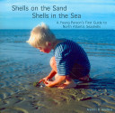Shells_on_the_sand_shells_in_the_sea
