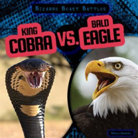 King_Cobra_vs__Bald_Eagle