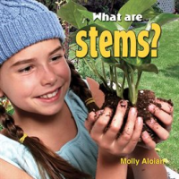 What_are_stems_