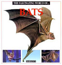 The_fascinating_world_of--_bats