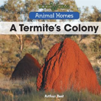 A_Termite_s_Colony