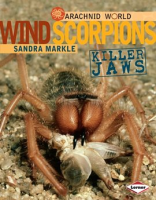 Wind_Scorpions