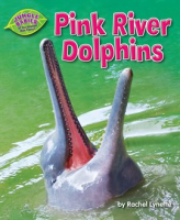 Pink_River_Dolphins