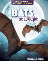 Bats_at_Night
