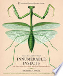Innumerable_Insects