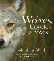 Wolves__Coyotes___Foxes