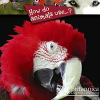 How_Do_Animals_Use____