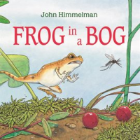 Frog_in_a_Bog