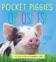 Pocket_Piggies_Opposites_