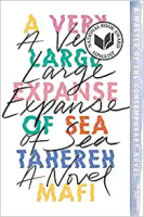 A_Very_Large_Expanse_of_Sea