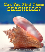 Can_You_Find_These_Seashells_