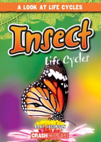 Insect_Life_Cycles