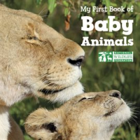 My_First_Book_of_Baby_Animals