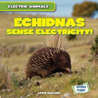 Echidnas_Sense_Electricity_