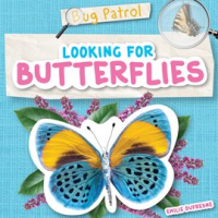 Looking_for_Butterflies