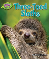 Three-Toed_Sloths