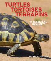 Turtles__Tortoises_and_Terrapins