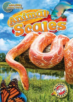 Animal_Scales
