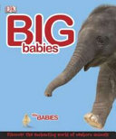 Big_babies__little_babies