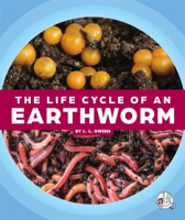 The_Life_Cycle_of_an_Earthworm
