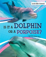 Is_It_a_Dolphin_or_a_Porpoise_