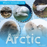 Animals_in_the_Arctic