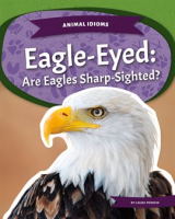 Eagle-Eyed__Are_Eagles_Sharp-Sighted_
