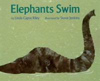 Elephants_Swim