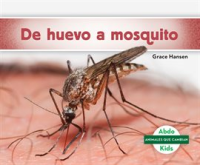 De_huevo_a_mosquito__Becoming_a_Mosquito_