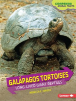 Gal__pagos_Tortoises