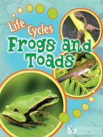 Frogs_and_Toads
