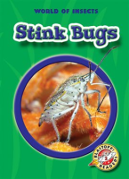 Stink_Bugs