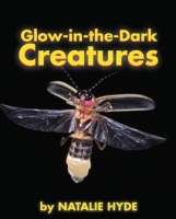 Glow-in-the-Dark_Creatures