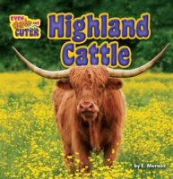 Highland_Cattle
