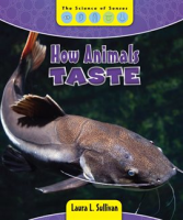 How_Animals_Taste