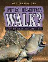 Why_Do_Mudskippers_Walk_