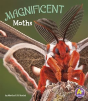 Magnificent_Moths
