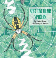 Spectacular_Spiders