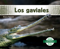 Los_gaviales__Gavials_