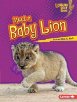 Meet_a_Baby_Lion