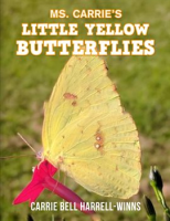 Ms__Carrie_s_Little_Yellow_Butterflies