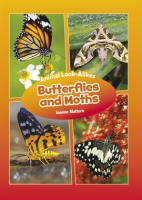 Butterflies_and_Moths