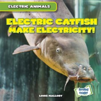 Electric_Catfish_Make_Electricity_