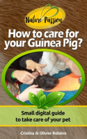 How_to_care_for_your_Guinea_Pig_
