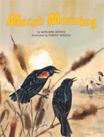 Marsh_Morning