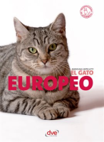 El_gato_Europeo