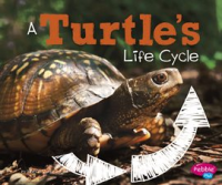 A_Turtle_s_Life_Cycle