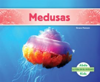 Medusas__Octopuses_
