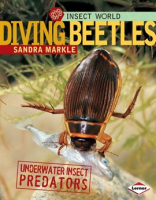 Diving_Beetles